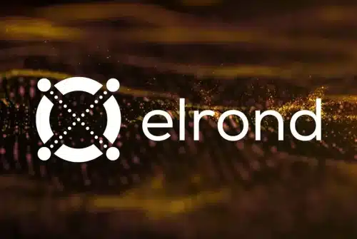 Elrond (EGLD) : Une cryptomonnaie à surveiller de près