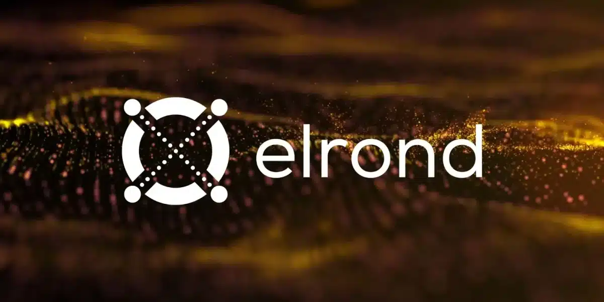 Elrond (EGLD) : Une cryptomonnaie à surveiller de près